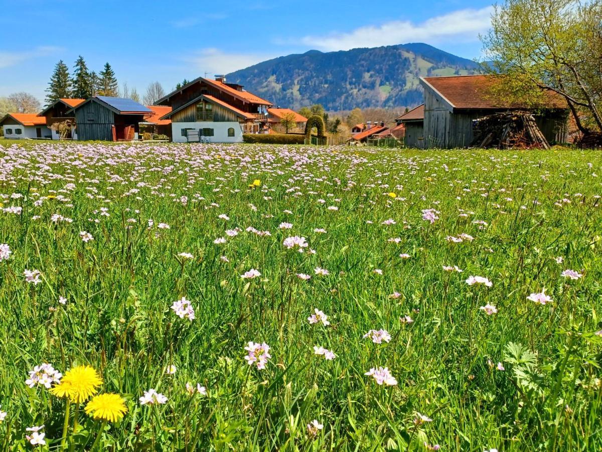 Ferienwohnung Geierstein Wackersberg Kültér fotó